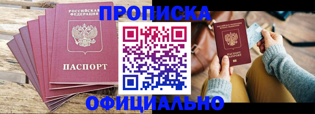 где прописаться в Дмитрове